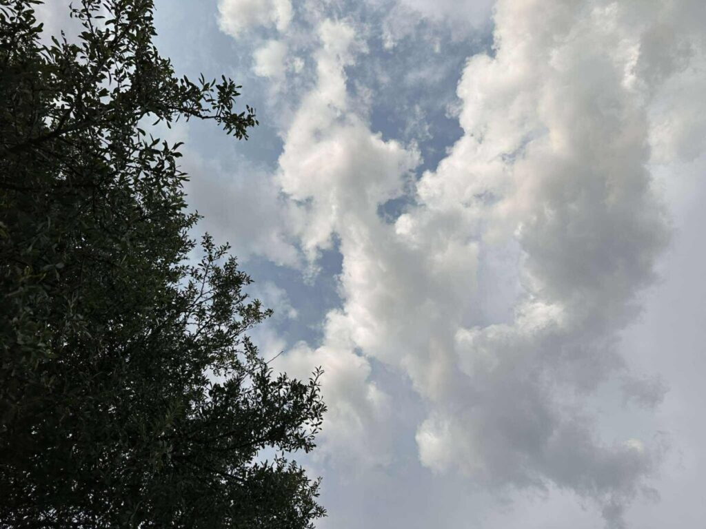 Променливо облачно, температурите од 14 до 20 степени