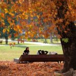 СОНЧЕВО ВРЕМЕ СО УТРИНСКА МАГЛА