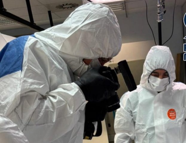 Исчезната слика на Пикасо e пронајдена во Мадрид неколку недели откако исчезна