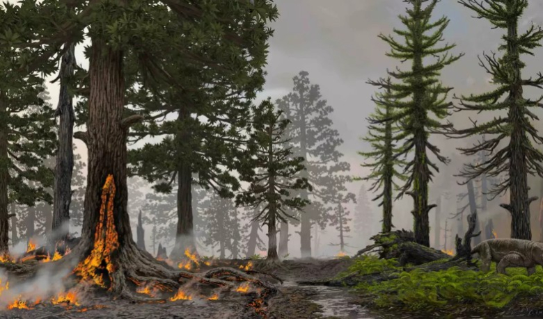 Шумите се здрави и живи