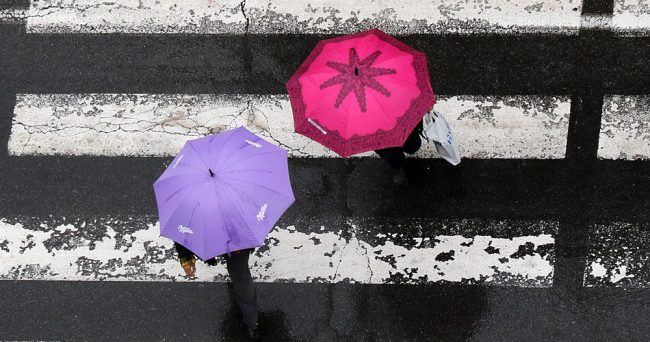 ЛИЦАТА СО АУТИСТИЧЕН СПЕКТАР НА НАРУШУВАЊЕ ВЛЕГОА ВО ЗАКОН, ФИРМИТЕ ЌЕ МОЖАТ ДА ГИ КОРИСТАТ НИВНИТЕ ДАРБИ И СПОСОБНОСТИ, ЗА ПОСЕБЕН ПРОСТОР И ОПРЕМА ЌЕ ИМ ПОМАГА ДРЖАВАТА