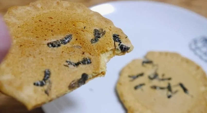 Кинескиот начин за заштеда: Младите одгледуваат црви во домот и ги јадат за протеин