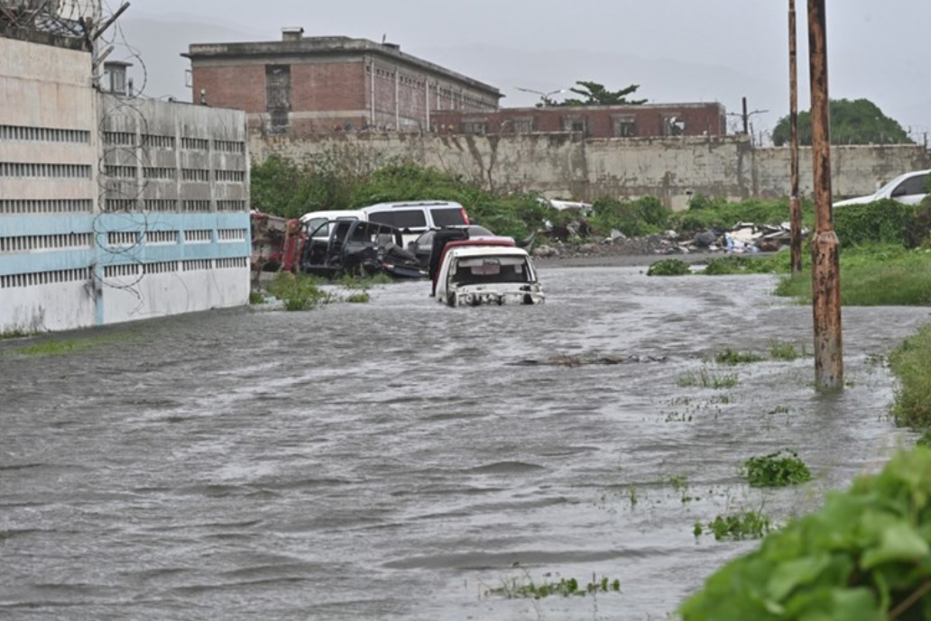 (Видео) Властите на Јамајка предупредуваат: Пазете се од крокодили