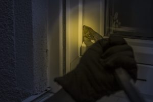 Во Гостивар приведени две лица заради кражби