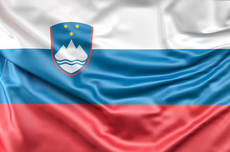 Словенија презема построги мерки по убиството во Ново Место