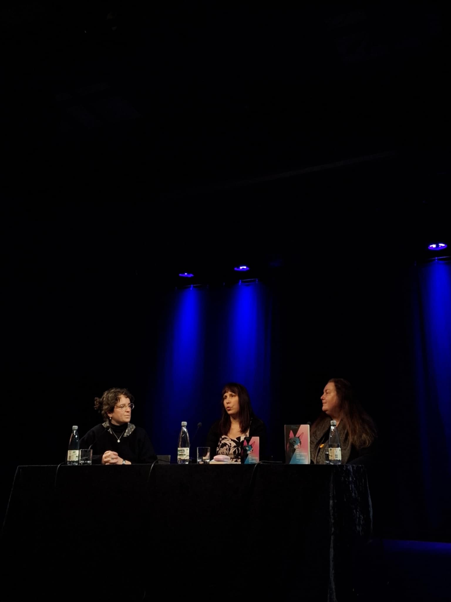 Писателката Билјана Црвенковска со две претставувања на саемот во Франкфурт