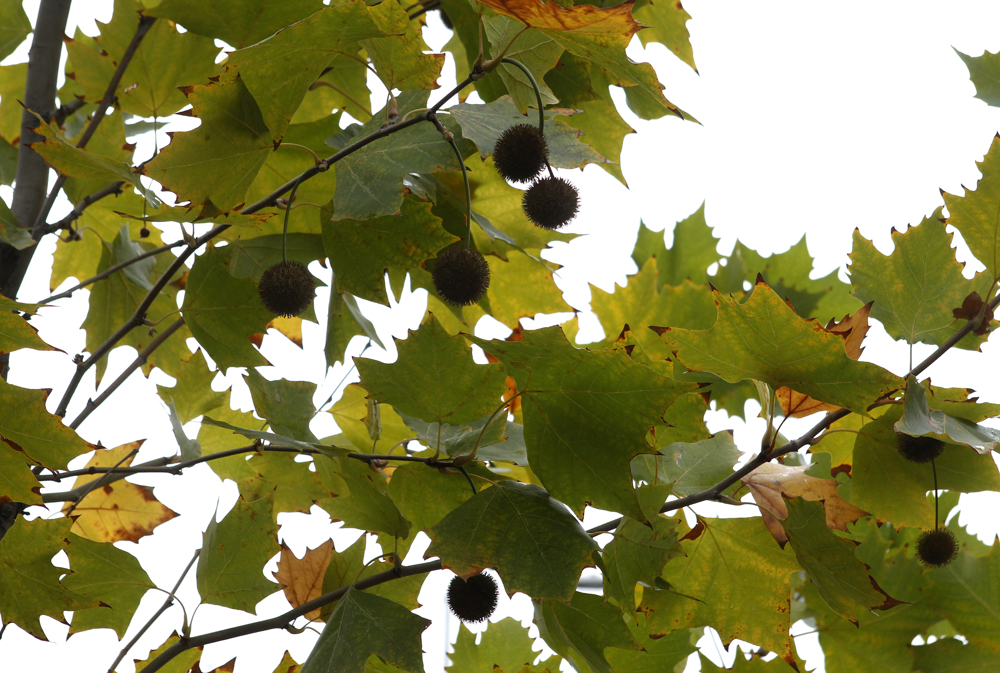 Од вторник температури над просекот за овој период од годината