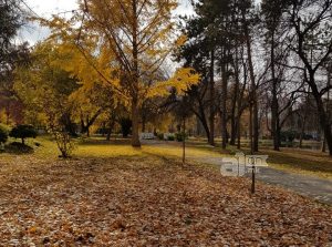 За викендот суво, од понеделник при крајот на денот повторно дожд