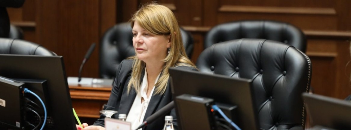 СДСМ е петта партија во Скопје