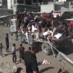 ЗАРАЗНИТЕ БОЛЕСТИ ВО ГАЗА СЕ НАДВОР ОД КОНТРОЛА