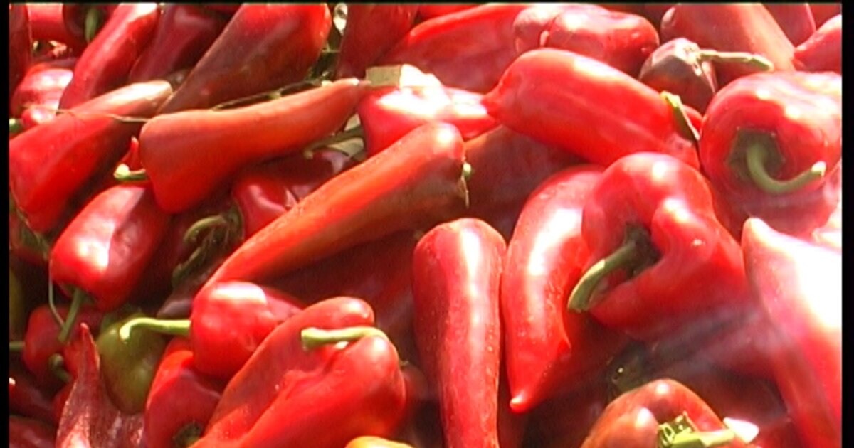 Трипуновски: Пиперките со метомил не се вратени од Хрватска