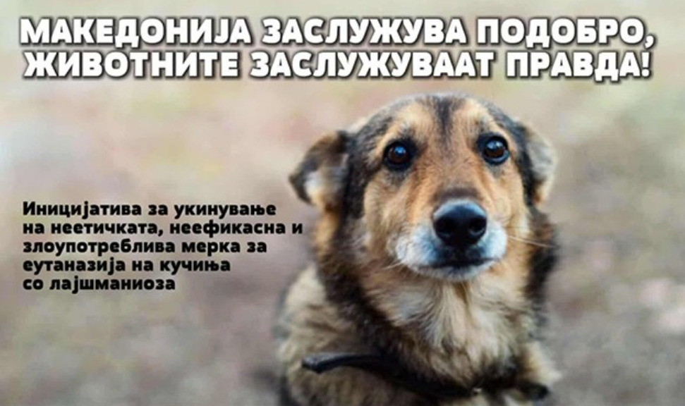 Животните заслужуваат правда: Здруженијата за заштита на животните со иницијатива за укинување на мерката за еутаназија на кучиња со лајшманиоза