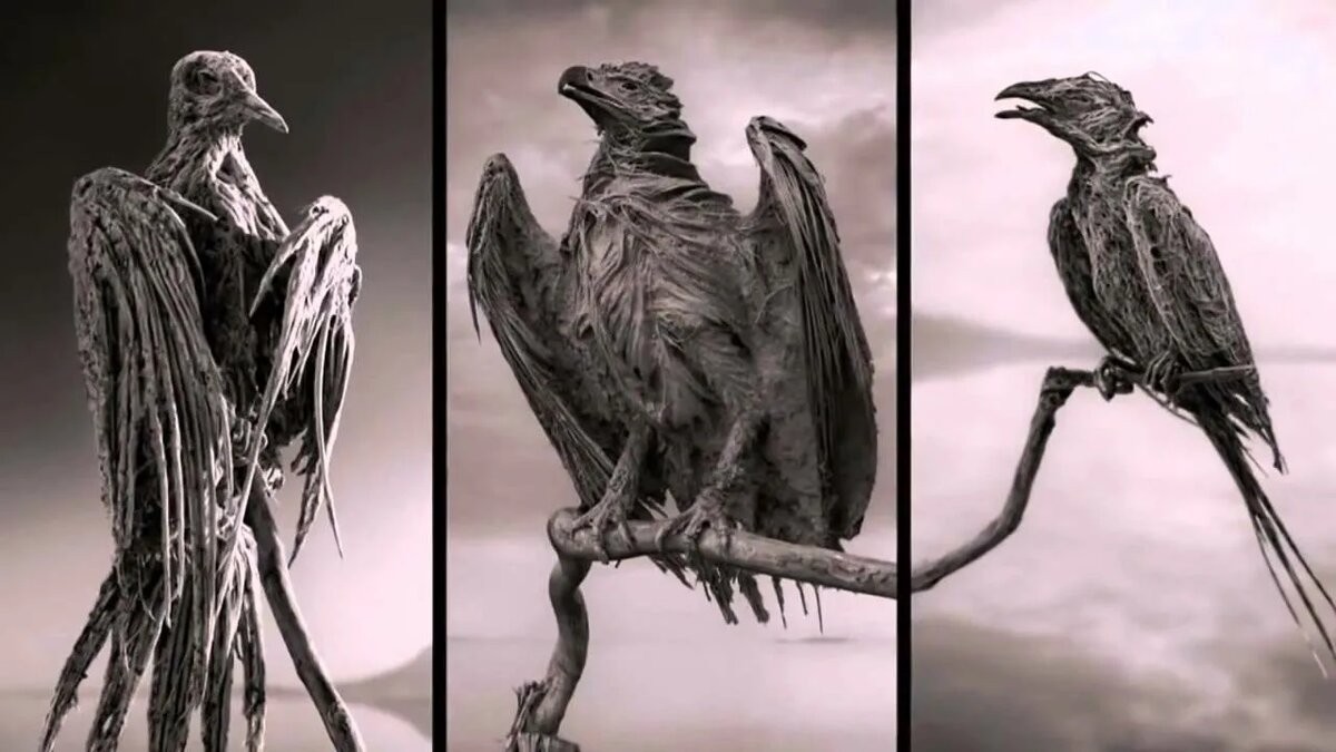 Езерото на смртта во Африка: Место каде водата претвора птици во камени статуи