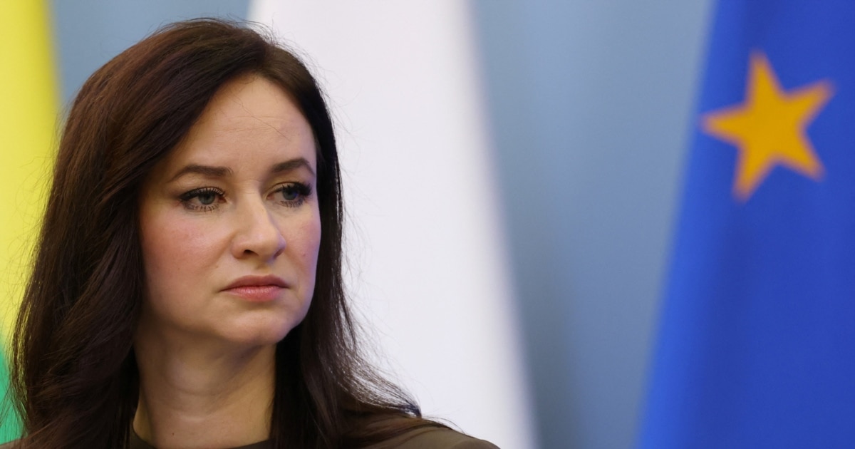 Литванија ќе ги соборува „шверцерските балони“ од Белорусија