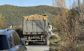 Видео+фото: Поради сообраќајна несреќа подолг застој во сообраќајот на патот Охрид-Струга
