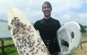 После 18 месеци – Даска за сурфање што пловела од Австралија до Нов Зеланд му е вратена на сопственикот