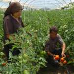 Жените-земјоделки ги бараат своите права