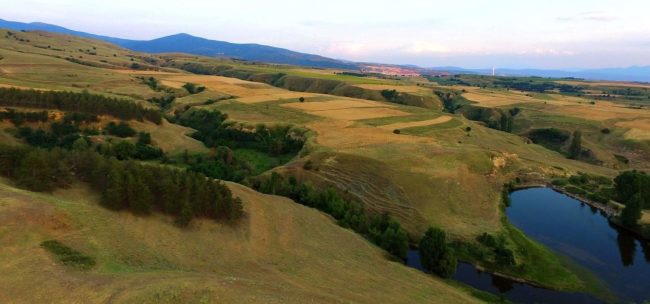 СЕ АНАЛИЗИРААТ ДРВЕНИ ОСТАТОЦИ НАЈДЕНИ НА ЛОКАЛИТЕТОТ ВЛАХО КОИ МОЖЕБИ СЕ ЕДНИ ОД НАЈСТАРИТЕ НЕОЛИТСКИ НАОДИ ВО ЕВРОПА