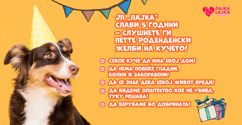 Пет роденденски желби на кучето