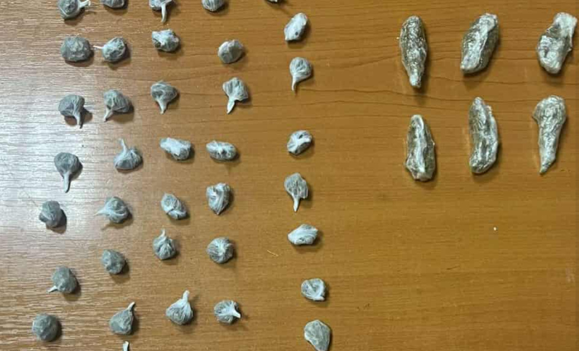 Уапсен скопјанец, при претрес пронајдени 71 паковка со марихуана