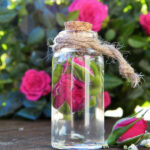 Мирис што го зајакнува мозокот