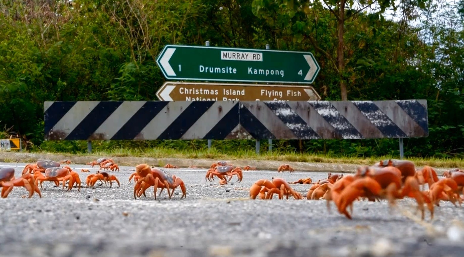Преглед на вестите од светот