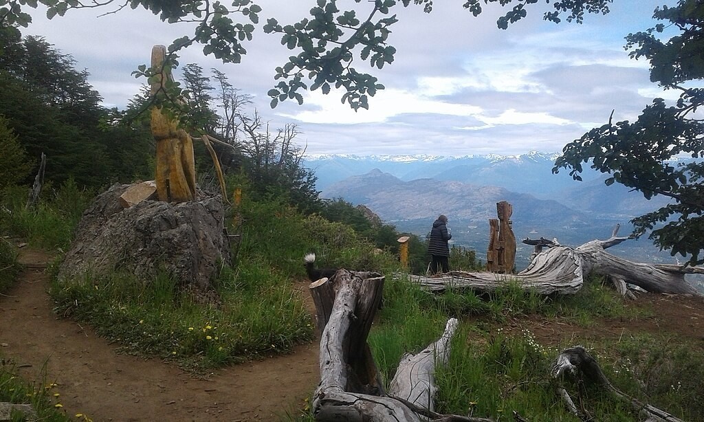 Мртвите дрвја оживеаја: Шума каква што не сте виделе досега