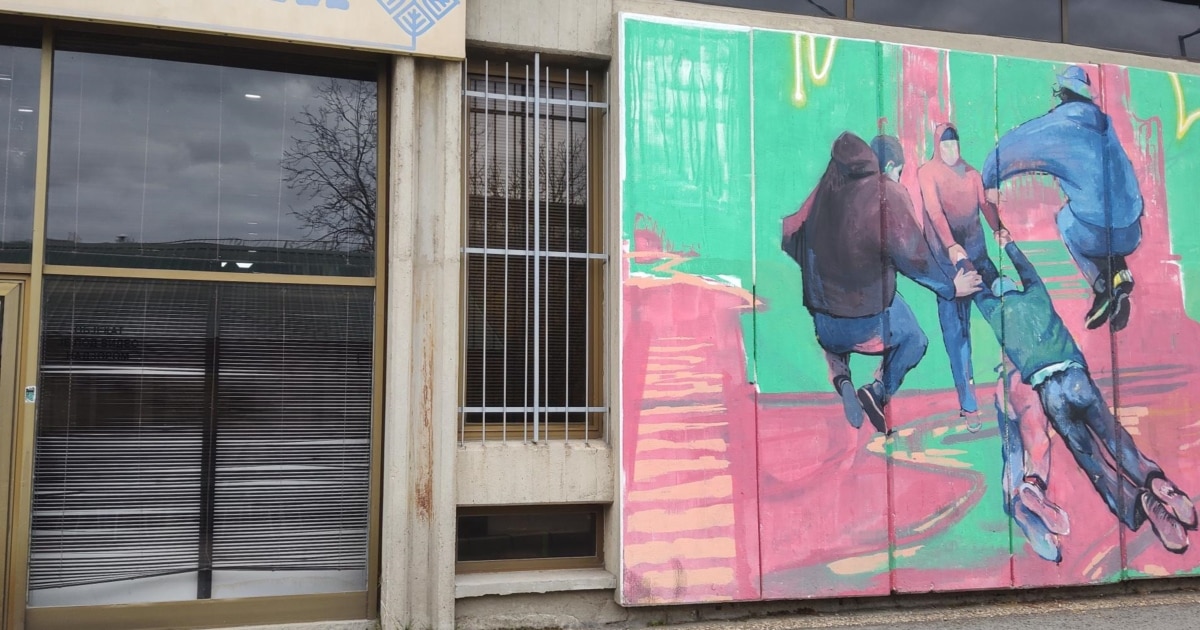 Обвинувања за полициска тортура врз студентка во Белград, српското МВР демантира