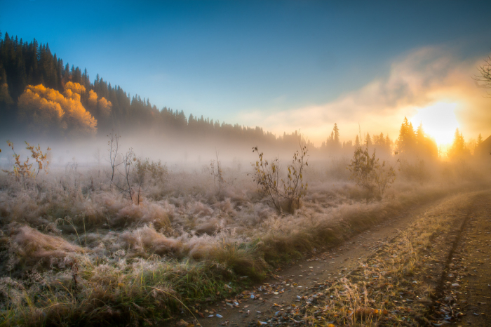 Студено утро, преку ден сончево