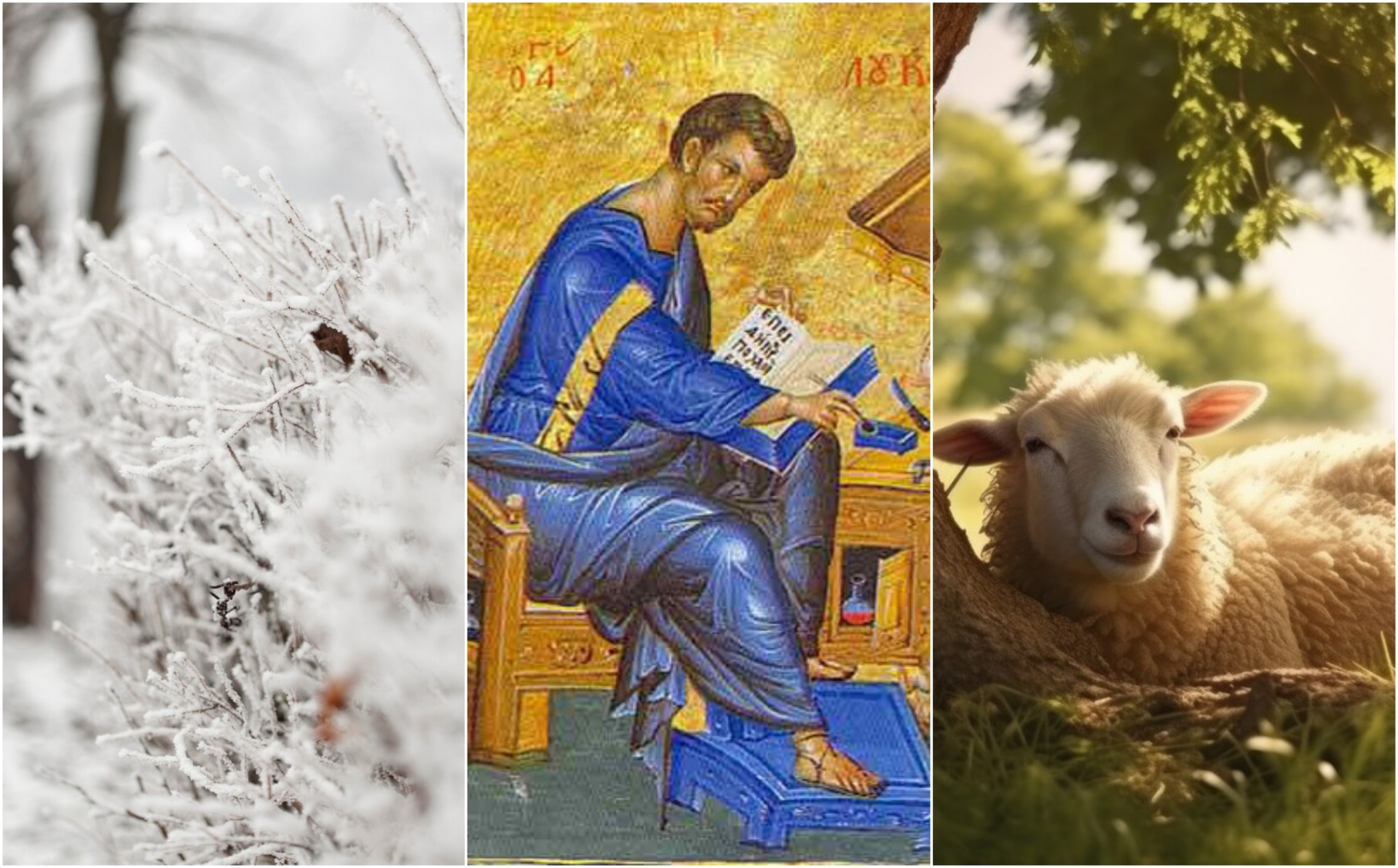 Денес задолжително погледнете во небото: Се празнува Св. Лука, еве што друго треба да направите