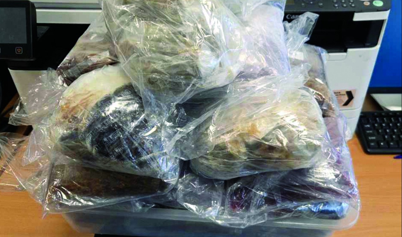 СТУДЕНТКА ОД ТУРЦИЈА ФАТЕНА СО ДРОГА – добила пратка од Белгија заведена како „нотес“