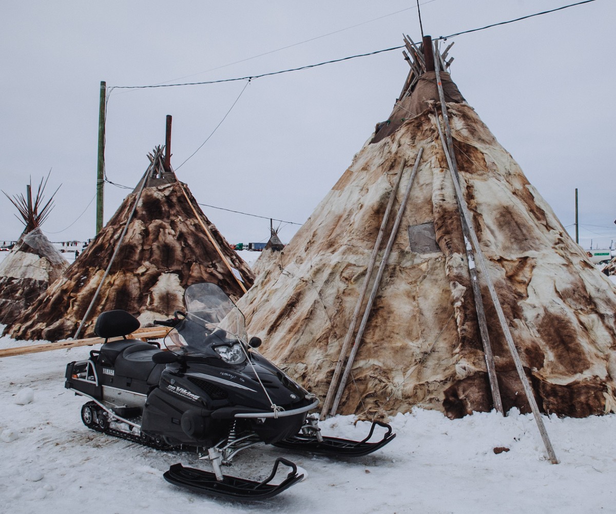 Вистинската цена на слободата: Зошто шаторот на северниот номад чини повеќе од стан во град и станува симбол за преживување
