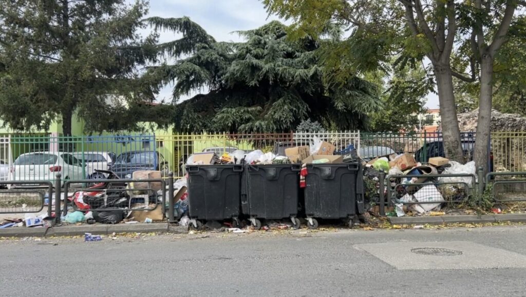 Министерството за здравство со итни препораки и мерки поради зголемен ризик од отпадот во Скопје