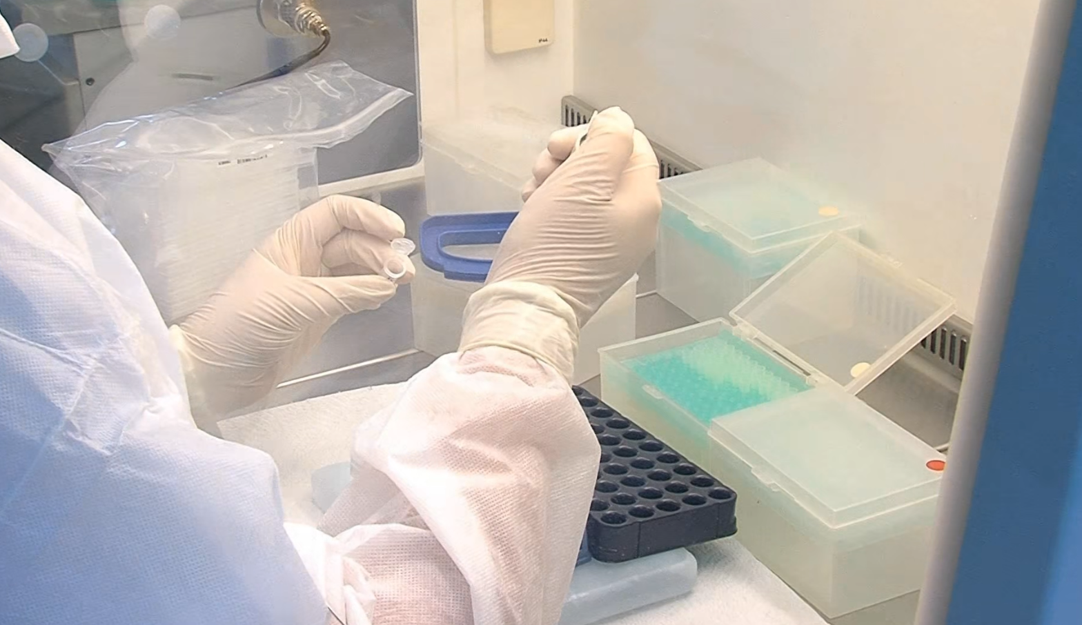 Во исто време има и грип и Ковид-19