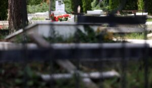 Продолжуваат кражбите на бронзени бисти од гробиштата Бутел