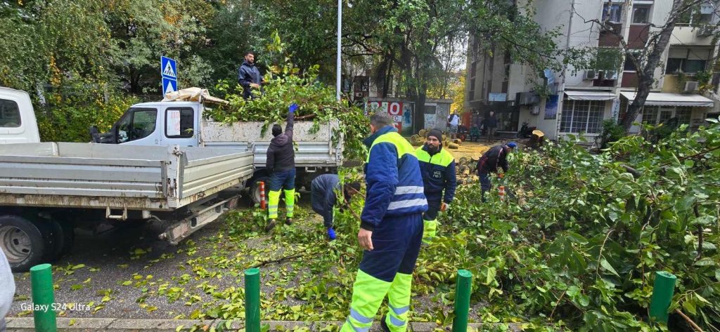 Општина Центар: ПОЦ и „Паркови и зеленило“ ги отстрануваат двете паднати дрвја во близина на училиштето Киро Глигоров