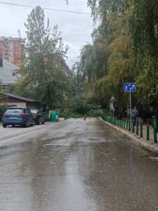 Паднато дрво го блокираше влезот на ОУ „Киро Глигоров“ во скопски Капиштец