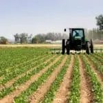 Природата се сети на земјоделците – дожд во идеален момент