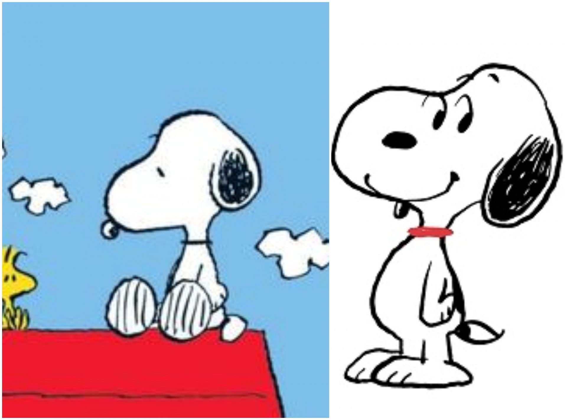 Дали знаете колку години всушност има омилениот лик од цртаните – Снупи?