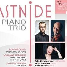 Концерт на триото АСТНИДЕ од Германија на Денови на македонската музика