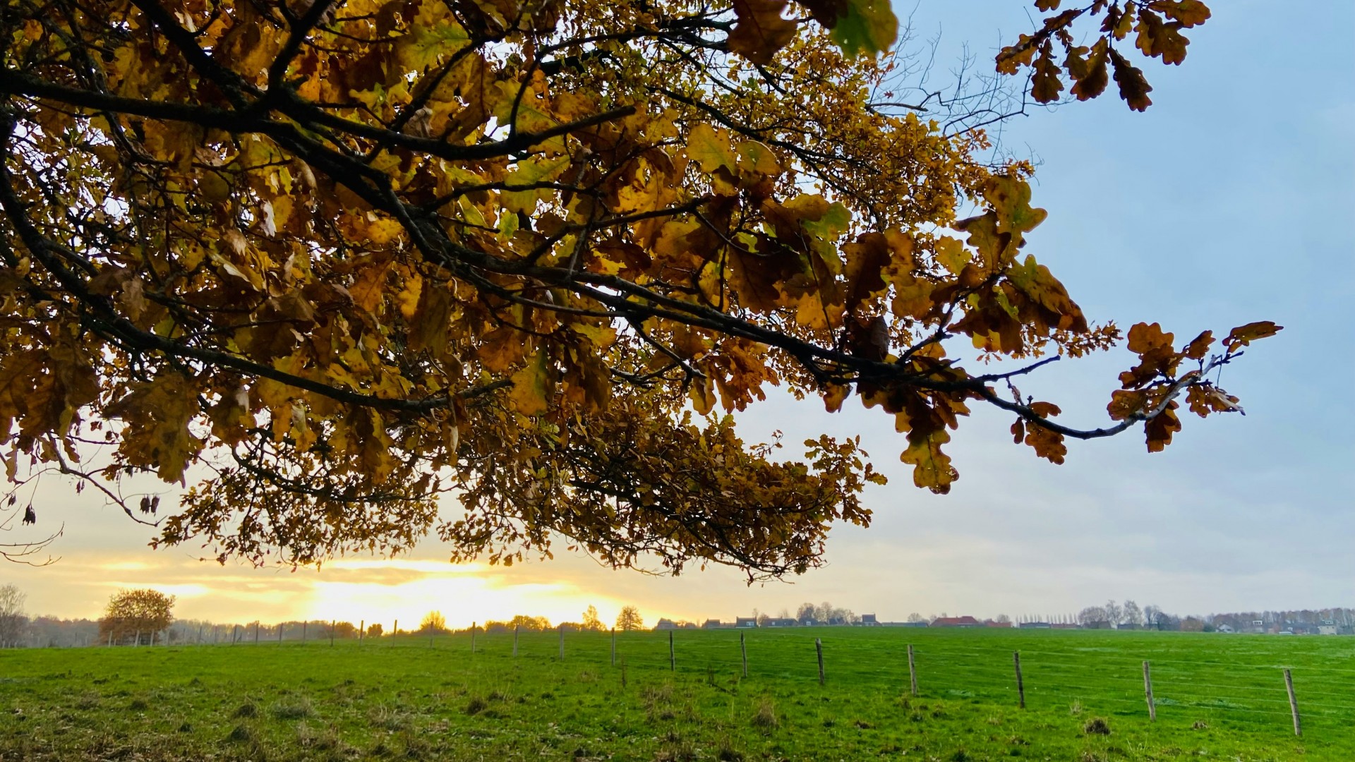 Есенската магија на европските градови: ПЕТ дестинации што мора да ги посетите вон сезона
