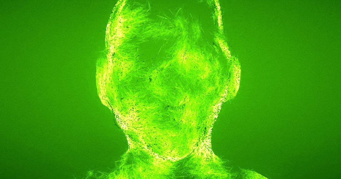 Се појавија нов тип на компјутерски вируси, кои користат AI за да си го сменат кодот и да избегнат детекција