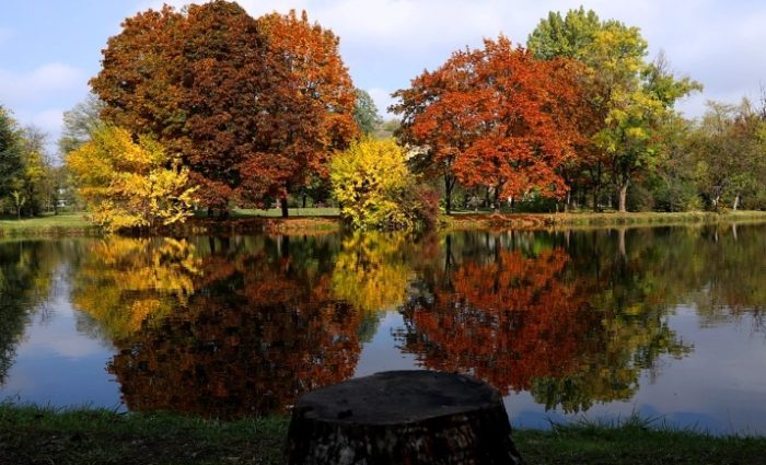 ВРЕМЕ: Наутро ведро и студено, во текот на денот претежно сончево со мала облачност, температурите ќе бидат од -3 до 20 степени