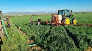 Важно за земјоделците – поднесете барања за дополнителни субвенции за 2025 година!