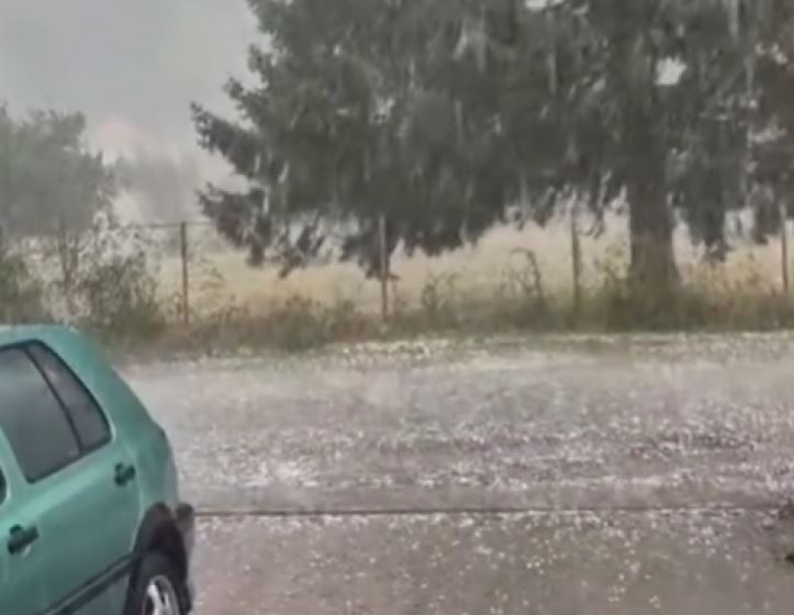 ШТО ДОНЕСЕ СИЛНИОТ ДОЖД: Поплавена куќа во Чаир, фарма во Битола, има и одрони