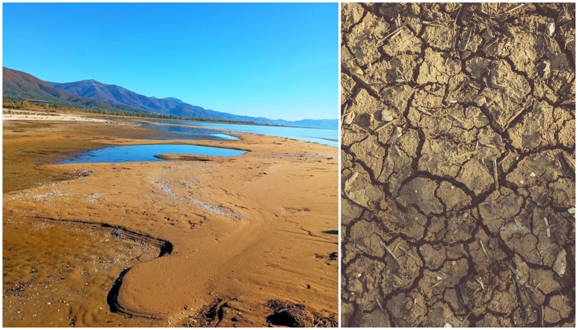 Преспанското езеро исчезнува, најавува еколошка катастрофа: Ќе останеме ли без најзначајното природно богатство?