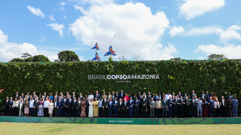 Германија ќе придонесе една милијарда евра за бразилскиот фонд за дождовни шуми