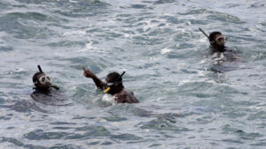 Колумбиски нуркачи открија 200 килограми кокаин скриен под брод што требаше да плови кон Европа