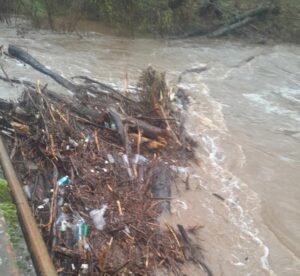 Дождот направи проблеми: Поплавени подруми, одрони и затворени патишта