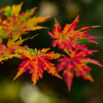 Годинашниот септември – трет најтопол септември на Земјата